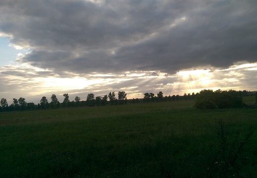 IMAG0011