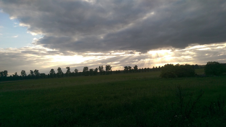 IMAG0011.jpg