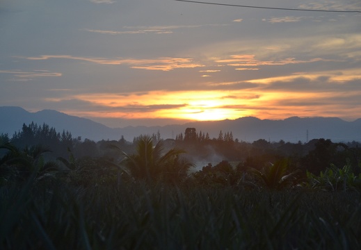 DSC 0314