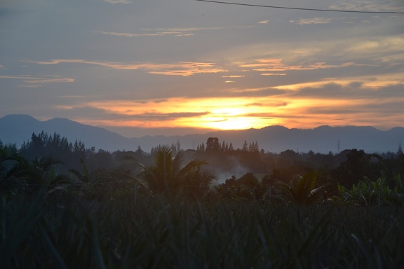 DSC 0314