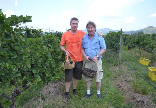 Weinanbau in Thailand
