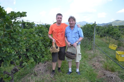 Weinanbau in Thailand