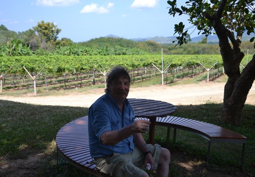 Weinanbau in Thailand