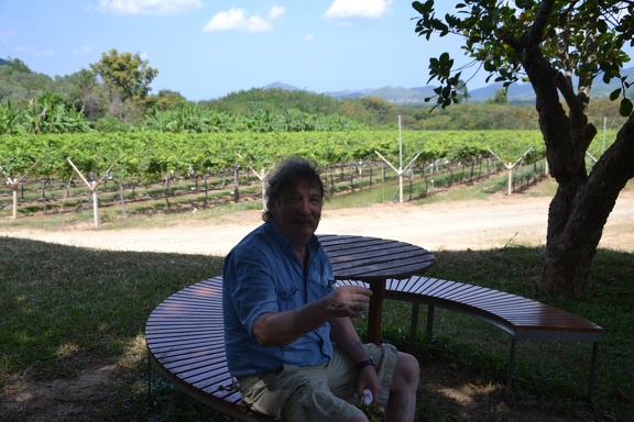 Weinanbau in Thailand