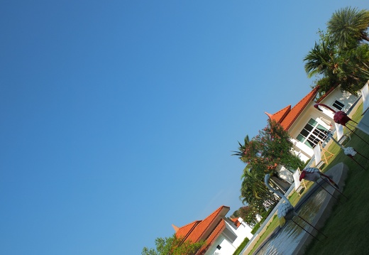 DSCF6981