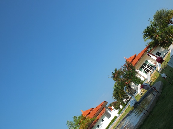 DSCF6981