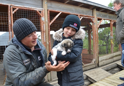Bei den Huskies