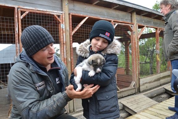 Bei den Huskies