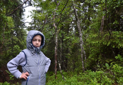 Trondheim Wandern Bymarka