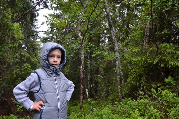 Trondheim Wandern Bymarka