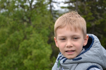 Trondheim Wandern Bymarka