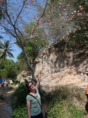 Vietnam - Mue Ne - Fairy Stream