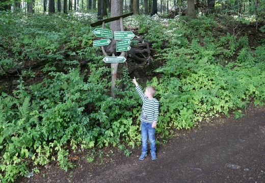 Auf zum Lausche Gipfel