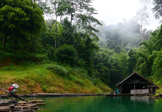 Khoa Sok Nationalpark