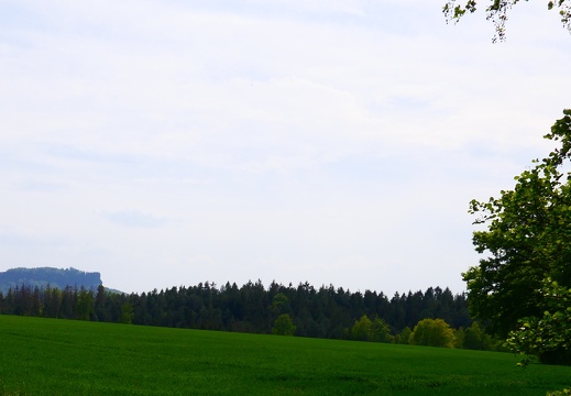 2020 Wandern sächsische Schweiz
