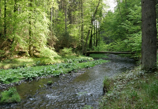 P1149276