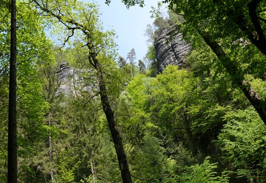 P1149280