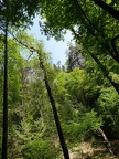P1149280