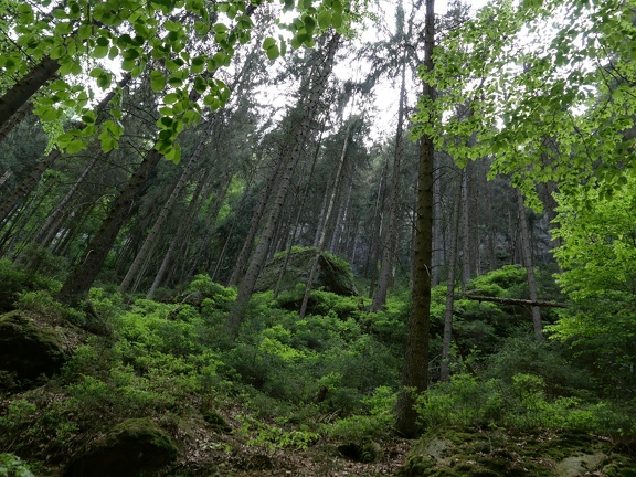P1149282
