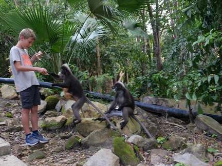Unterwegs in Langkawi