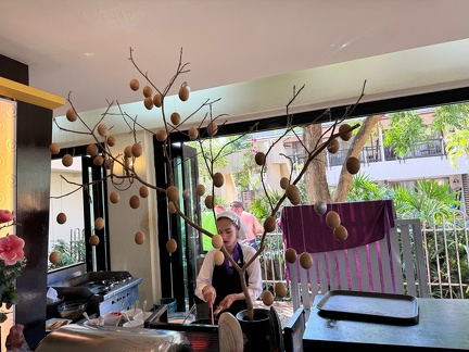 Unser Eierbaum im Hotel