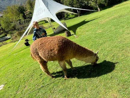 Unterwegs in den Anden