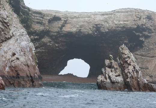 RobIsland