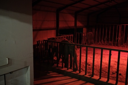 15 08 Plettenberg Lodge