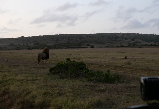 18 02 Addo