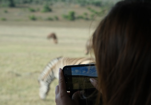 18 06 Addo