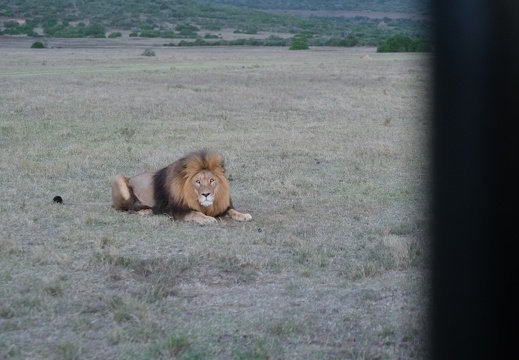 18 11 Addo