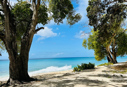 06-Barbados-2025-02-22-120240-0010