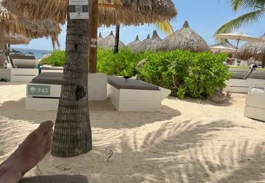 09-Curacao-2025-02-27-130218-0020