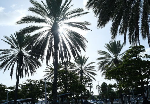 09-Curacao-2025-02-27-160202-0024