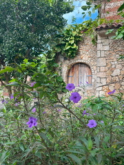 10-LaRomana-2025-03-01-100344-0011