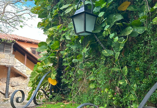 10-LaRomana-2025-03-01-100357-0012