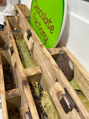 10-LaRomana-2025-03-01-120304-0022