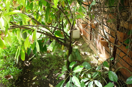 10-LaRomana-2025-03-01-120359-0023