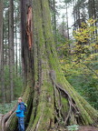 00 VancouverStanlay00005