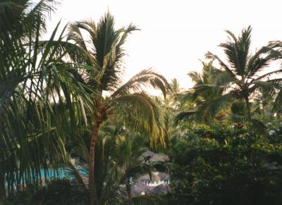 domrep - leider nur ein urlaubsland7 20070528 1533317349